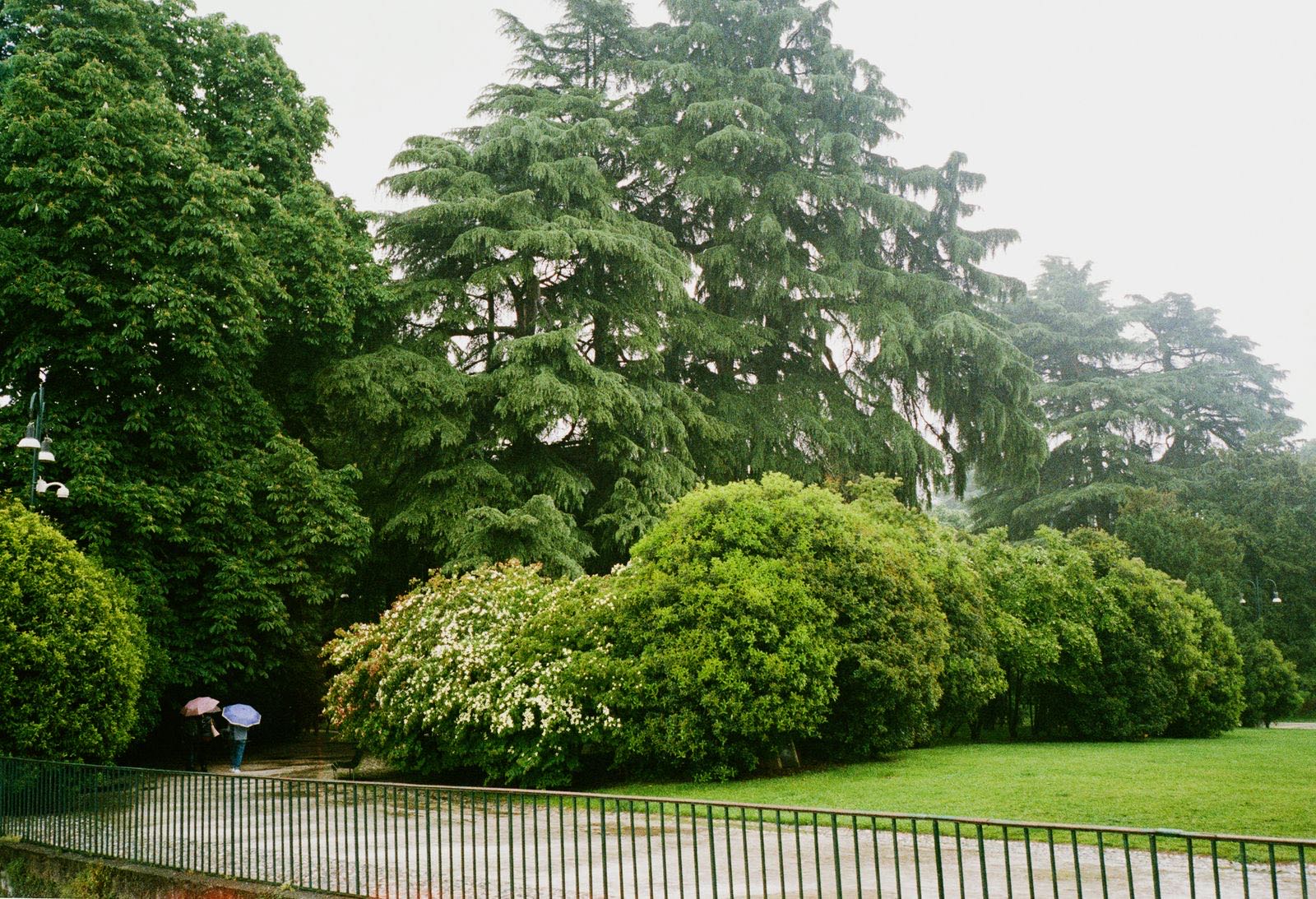 A tree-lined park in Milan